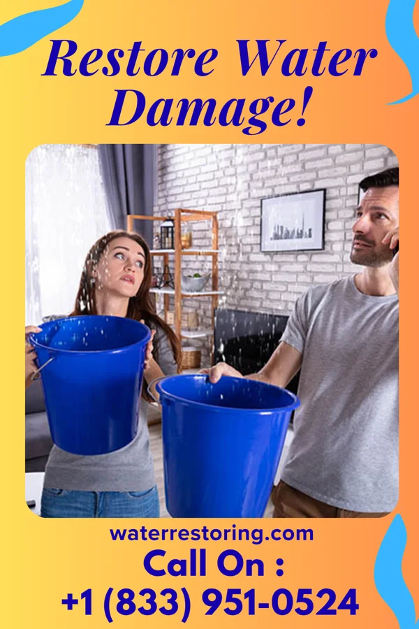 water restoration Apex Recovery Partners Elkins Park